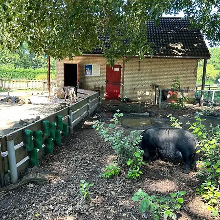 別荘 La Casa Pacha Mama Sauna En Hottub *
